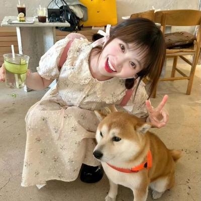 唯美貌不可辜负第二季