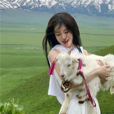 精灵小王子